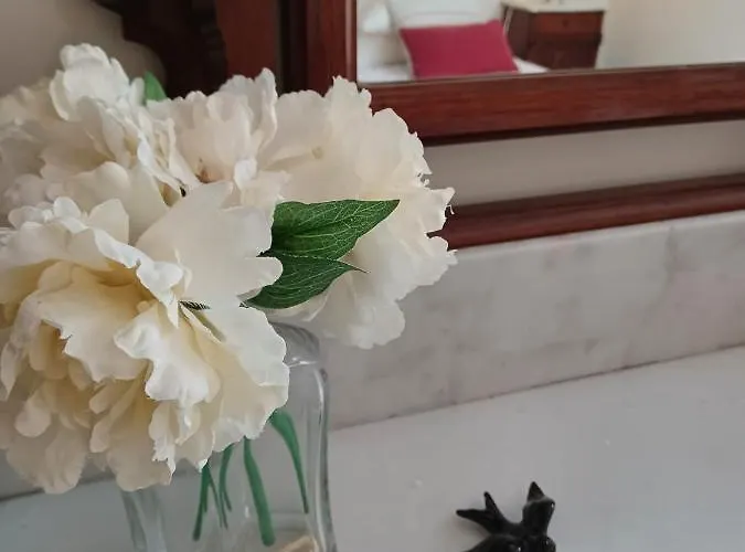 Apartamento Vista Premium Sto António